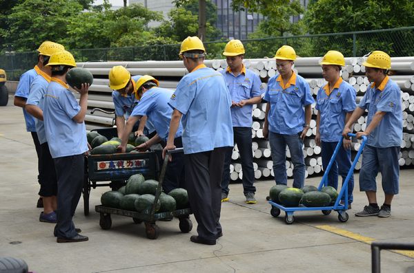 9393体育·(中国)官方网站