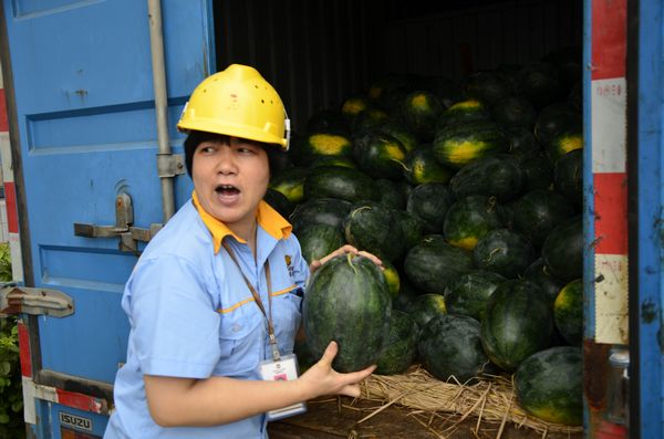 9393体育·(中国)官方网站