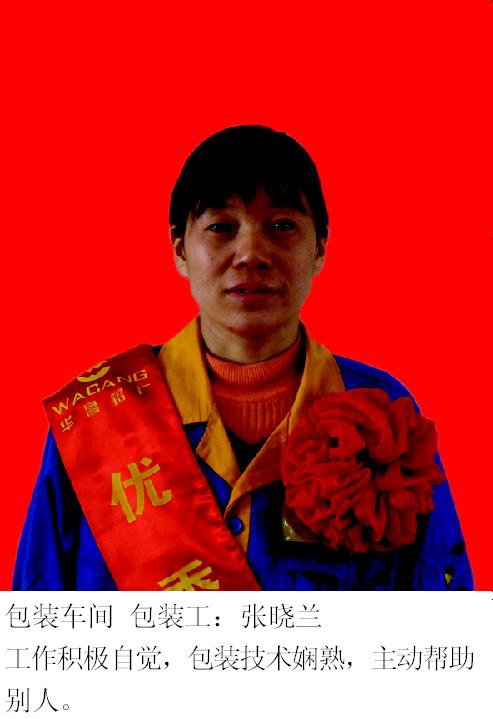 2008年度9393体育铝厂优异员工-伟昌铝材