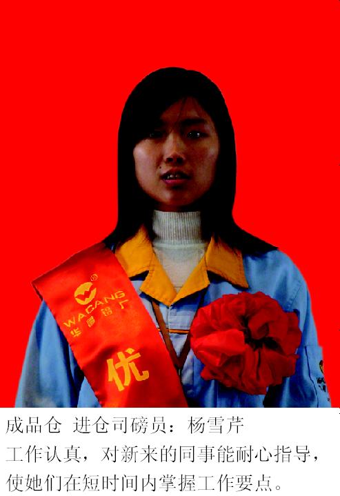 2008年度9393体育铝厂优异员工-伟昌铝材