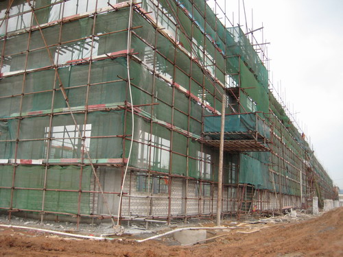 虎年9393体育开胜景,新厂建设喜人心