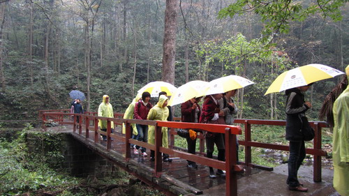 我公司组织部分员工张家界，，，，凤凰古城四日游