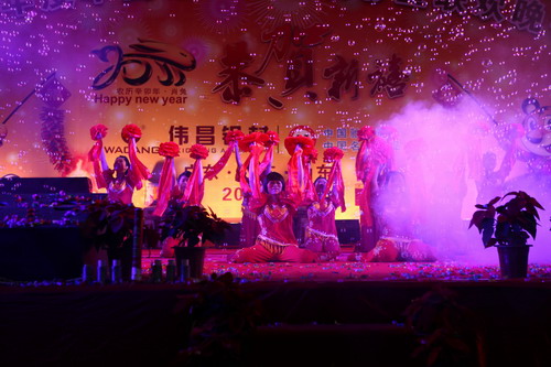 春节新年晚会精彩演出-伟昌铝材