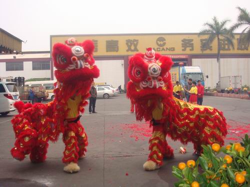 开工大吉   醒狮助兴-伟昌铝材