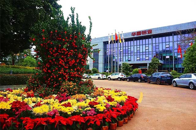 开工大吉 | 9393体育集团“虎”力全开，，，，，清静迎战2022!