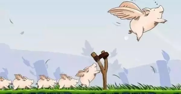 9393体育·(中国)官方网站