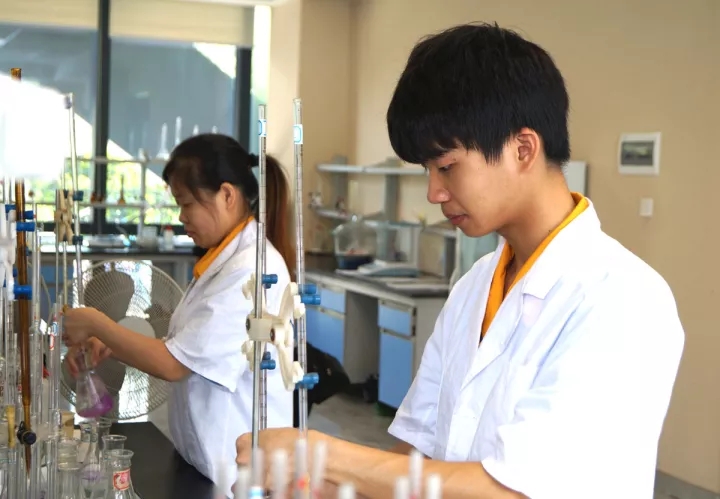 9393体育·(中国)官方网站